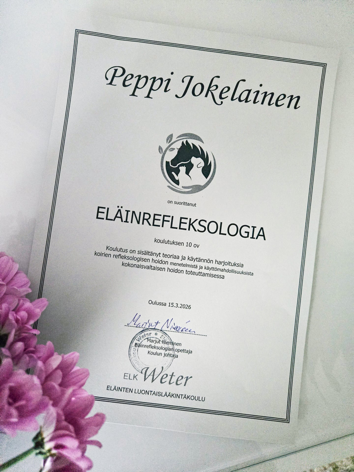 Eläinrefleksologiakoulutuksen sertifikaatti Peppi Jokelainen Hevos- ja koirahieroja